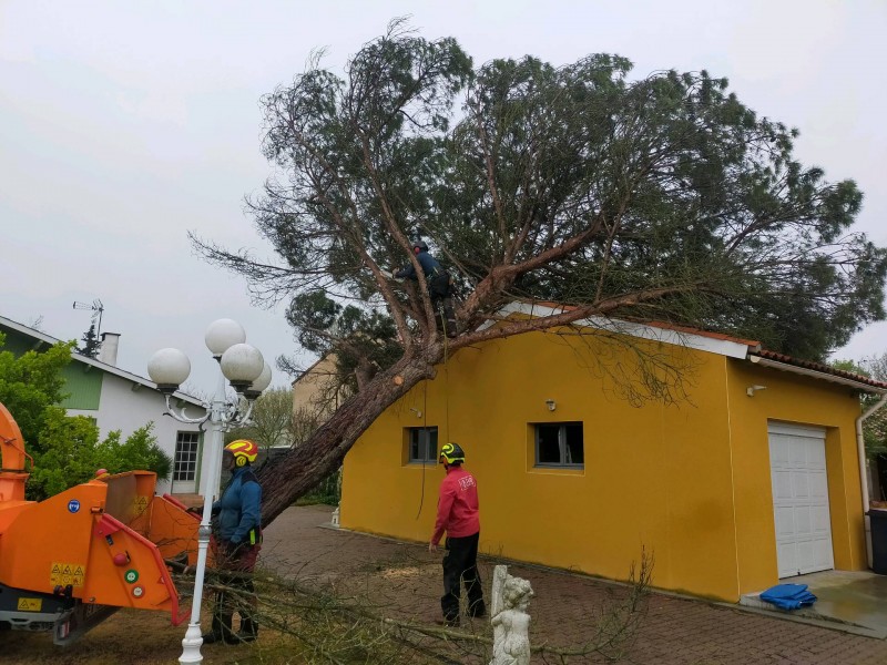 Enlèvement d'un arbre sur une maison suite à une tempête à Colomiers