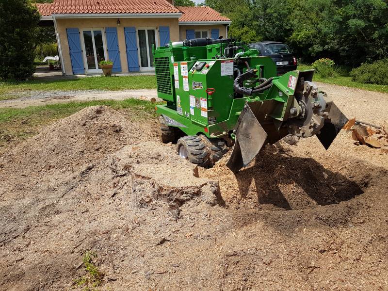 Rognage de souche Plaisance du Touch