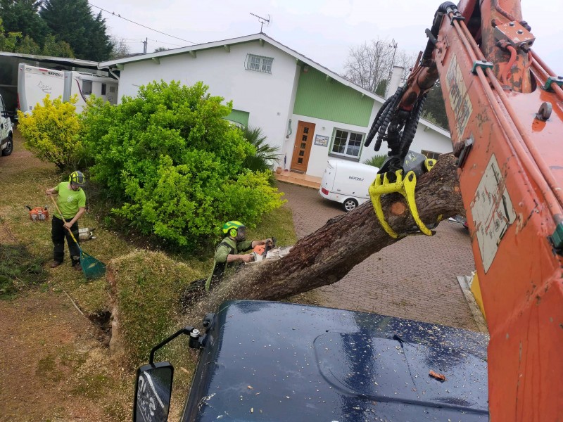 Enlèvement d'un arbre sur une maison suite à une tempête à Colomiers