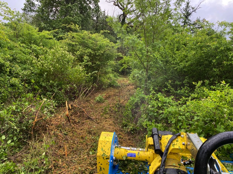 Debroussaillage d’un terrain pour la mise en place d’une clôture