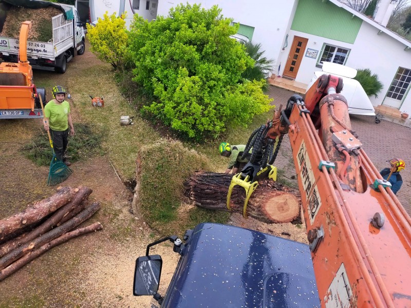 Enlèvement d'un arbre sur une maison suite à une tempête à Colomiers