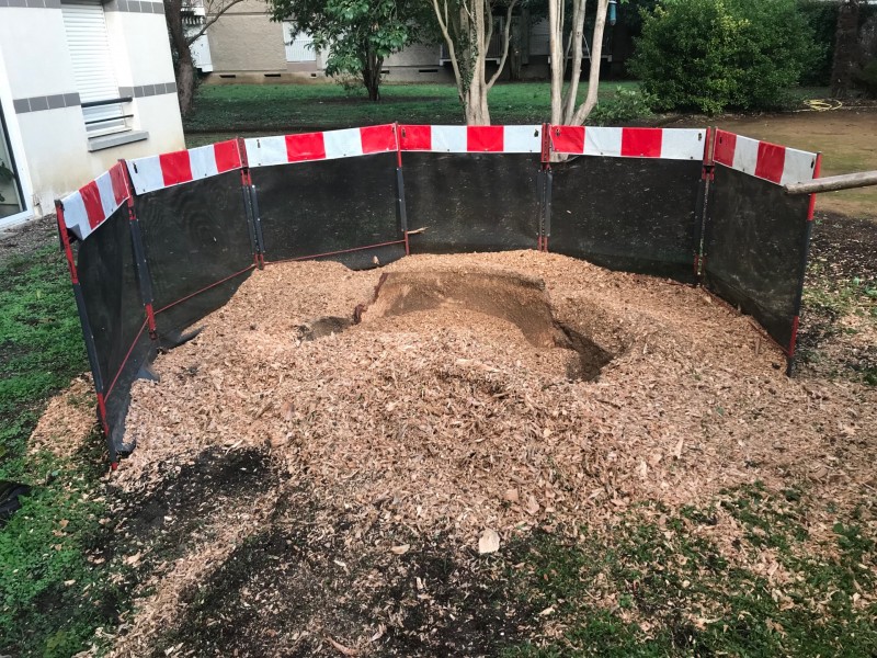 Rognage d’une souche à Toulouse