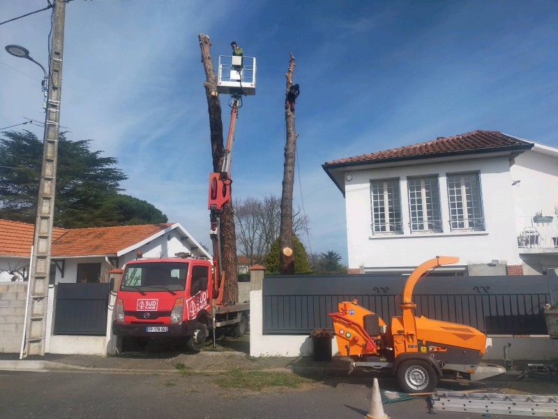 abattre un arbre après tempête blagnac