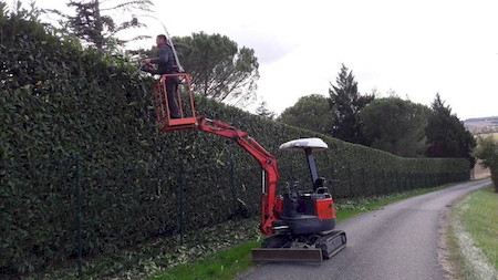 Notre zone d'activité pour ce service Prix élagage de pin parasol à Plaisance du Touch 31830