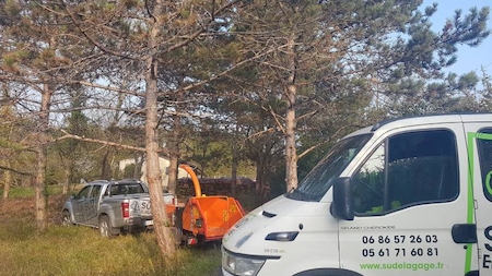 Notre zone d'activité pour ce service Prix intervention société pour haubanage d'arbre à Plaisance du Touch 31830