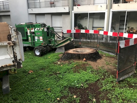 Nos prestations sur le secteur de à Plaisance du Touch 31830