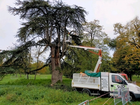 Nos prestations sur le secteur de à Toulouse 31 en Haute-Garonne