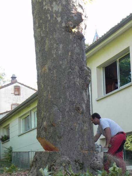 Notre zone d'activité pour ce service Dessouchage d'arbre rapide à Blagnac 31700