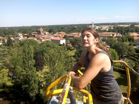 Notre zone d'activité pour ce service Prix élagage de pin parasol à Toulouse 31 en Haute-Garonne