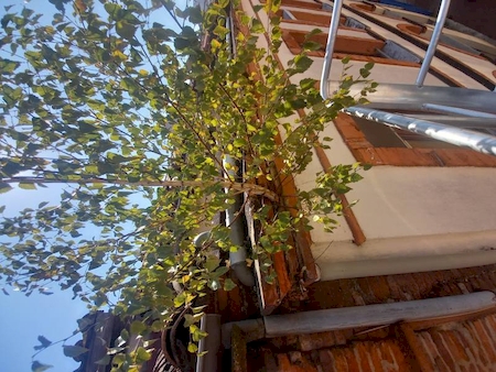 Nos prestations sur le secteur de à Toulouse 31 en Haute-Garonne